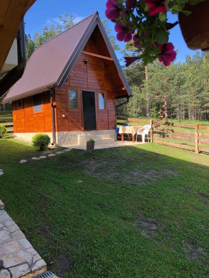 Apartmani Tornik-Planinska Kuca Zdravkovic Dobroselica Dış mekan fotoğraf